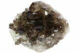 Dark Smoky Quartz Crystal Cluster - Brazil #84310-2